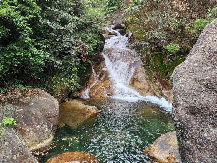 尔滨火出新高度！菜市场都被限流了，本地人：从没见过这样的场面